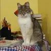 Отзыв от Евгения Антипова
